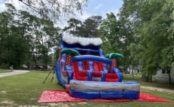 Tropical20Blast20Waterslide20HTX20Best20Party20Rentals20in 1 16 FT DUAL LANE TROPICAL BLAST